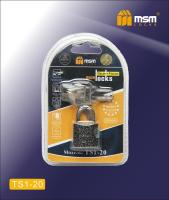 TS1/20