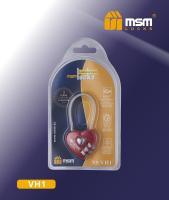 VH1