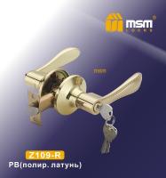 MSM Ручкa защелкa Z109-R PB