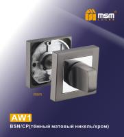 BSN/CP