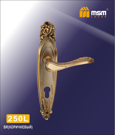 250L BR